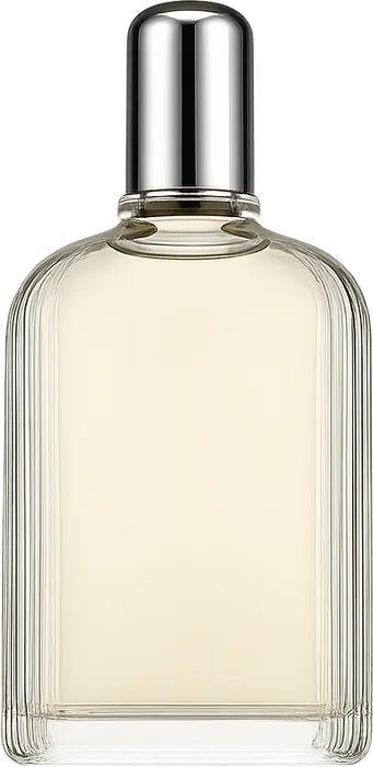 Grey Vetiver EDP