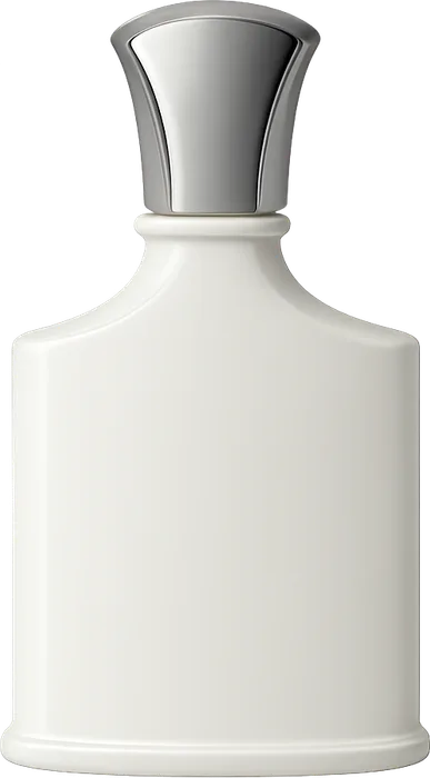 Silver Mountain Water