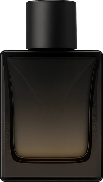 V. Pour Homme Oud Noir